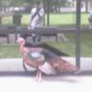 Meet your Posher, Brian